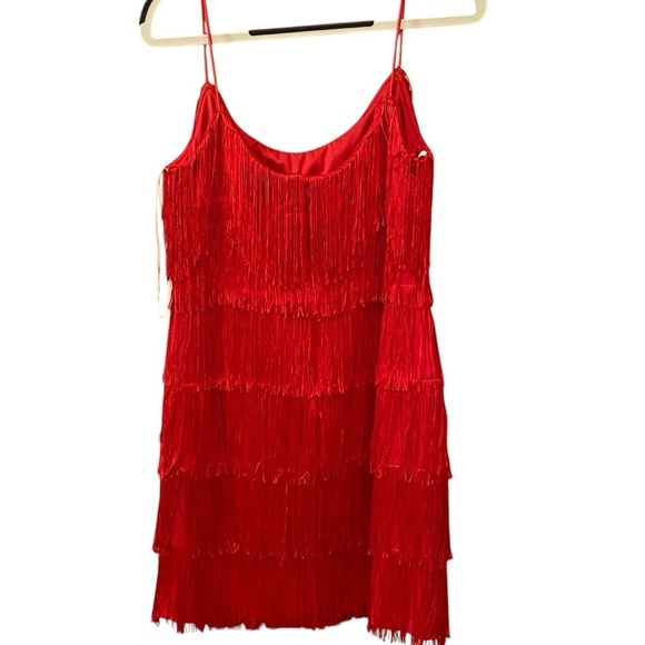 Morgan and Co Elegant Red Fringe Flapper Dress Size 13/14 Great Gatsby Party Fun - Picture 9 of 13